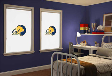 Shop For Collegiate Collection Cellular Shades