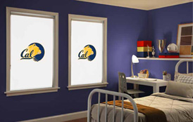 Collegiate Collection Cellular Shades