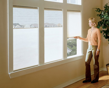 Shop For Chordless Duofold Cellular Shades