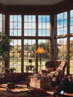 3M Window Film
