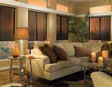 Shop For Envision EcoGreen Roller Shades