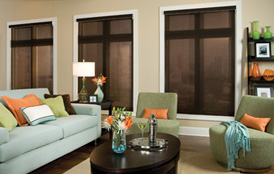 Envsion EcoGreen Roller Shades