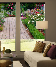 Persona Roller Shades