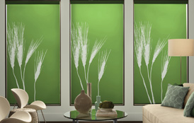 Persona Roman Shades