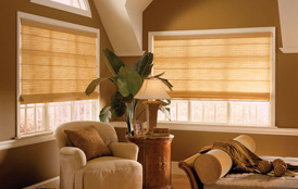 Serenade Roman Shades